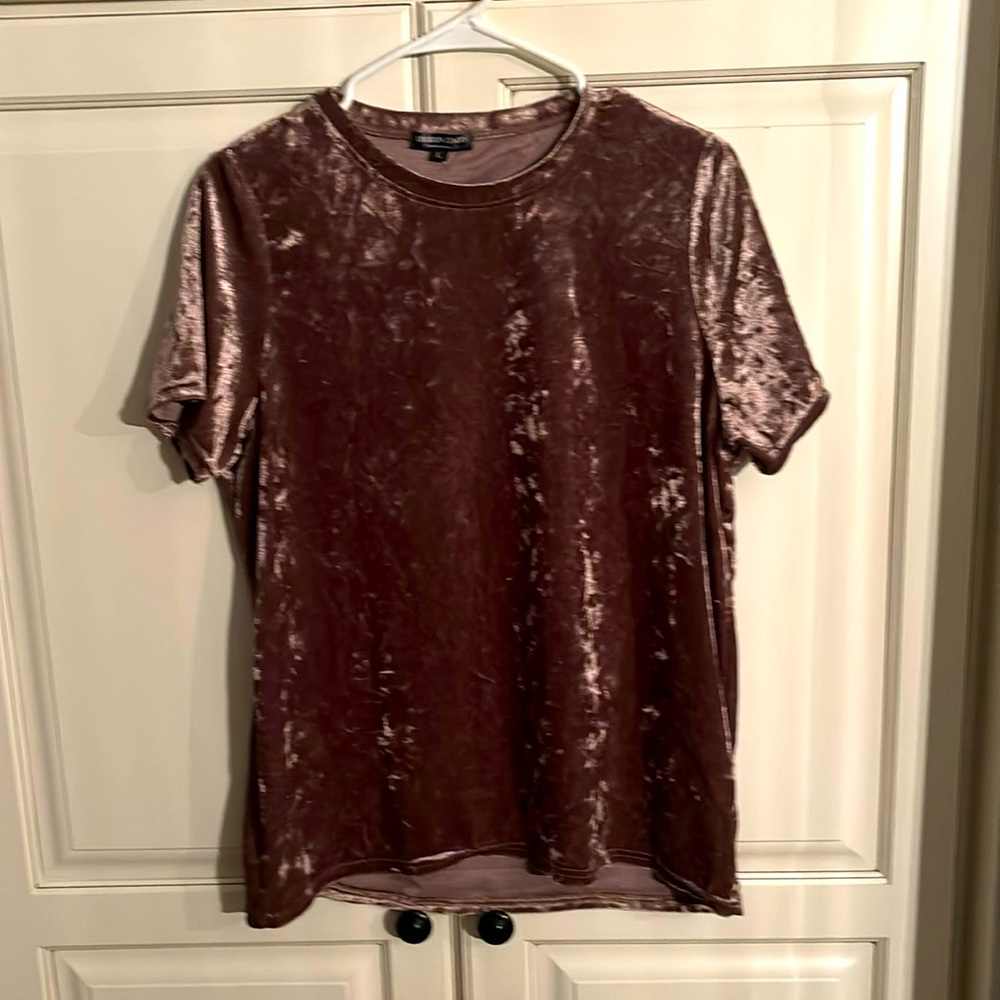 Beautiful mocha color velour short sleeve top. NWOT. Large.